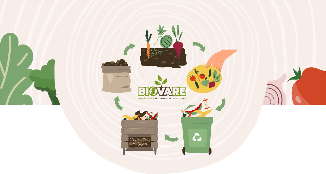 Schéma Biovare Schéma Biovare